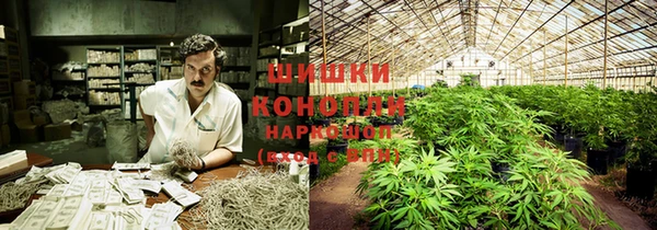 мдма Заводоуковск