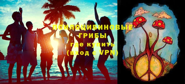 мдма Заводоуковск