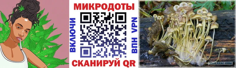 mega как зайти  Канск  Галлюциногенные грибы GOLDEN TEACHER 