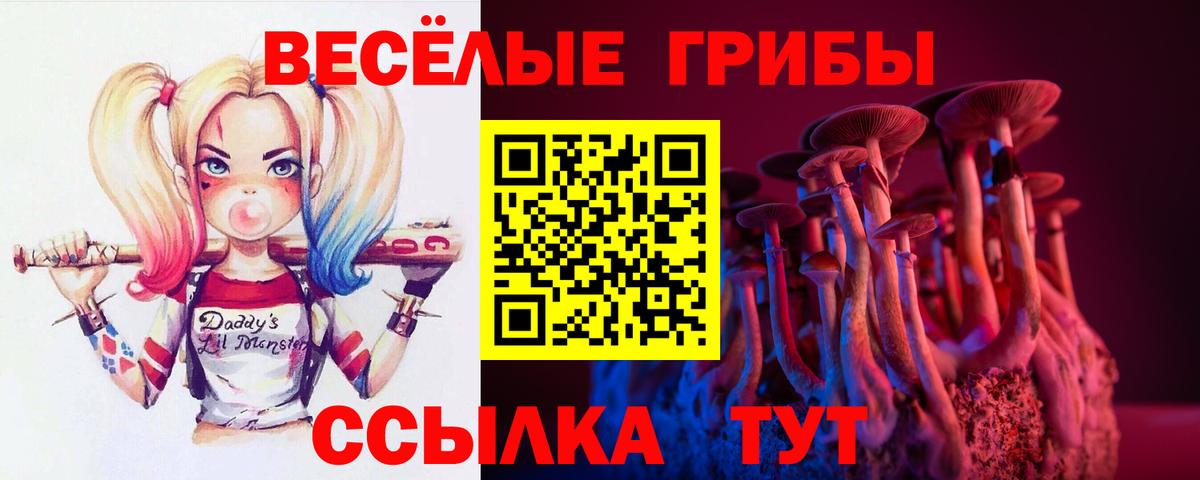 Канск  Псилоцибиновые грибы прущие грибы  Вход с VPN 